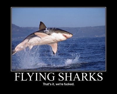 AirShark.jpeg