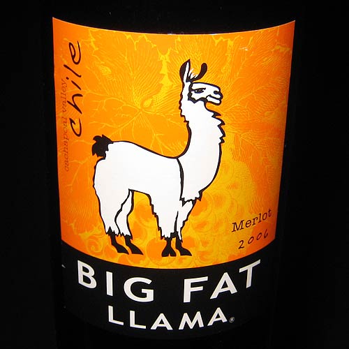 FatLlama.jpg