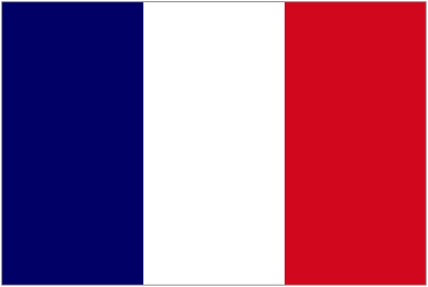 Frenchflag.gif
