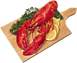 lobster.jpg